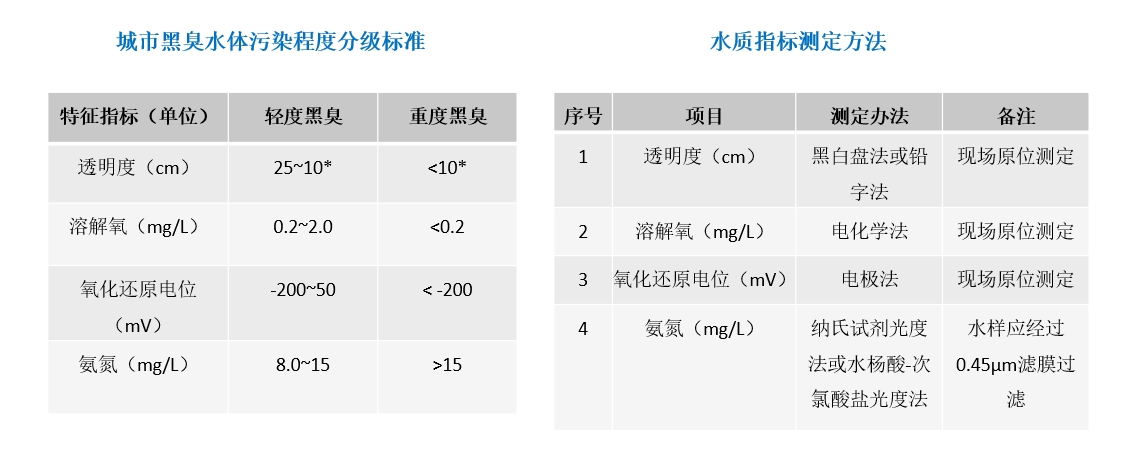 黑臭水体定义